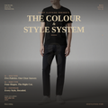 "The Colour & Style System — Men's Skin Tone & Body Type Guide"
